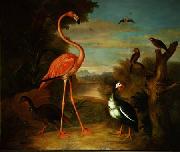 Jakob Bogdani Flamingo and Other Birds in a Landscape France oil painting artist